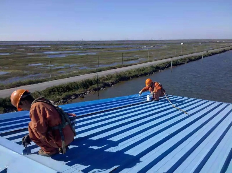 咸丰彩钢瓦屋面防腐翻新